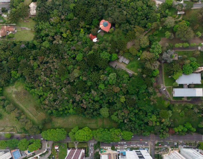 Bosque da Copel pode virar patrimônio ecológico de Curitiba