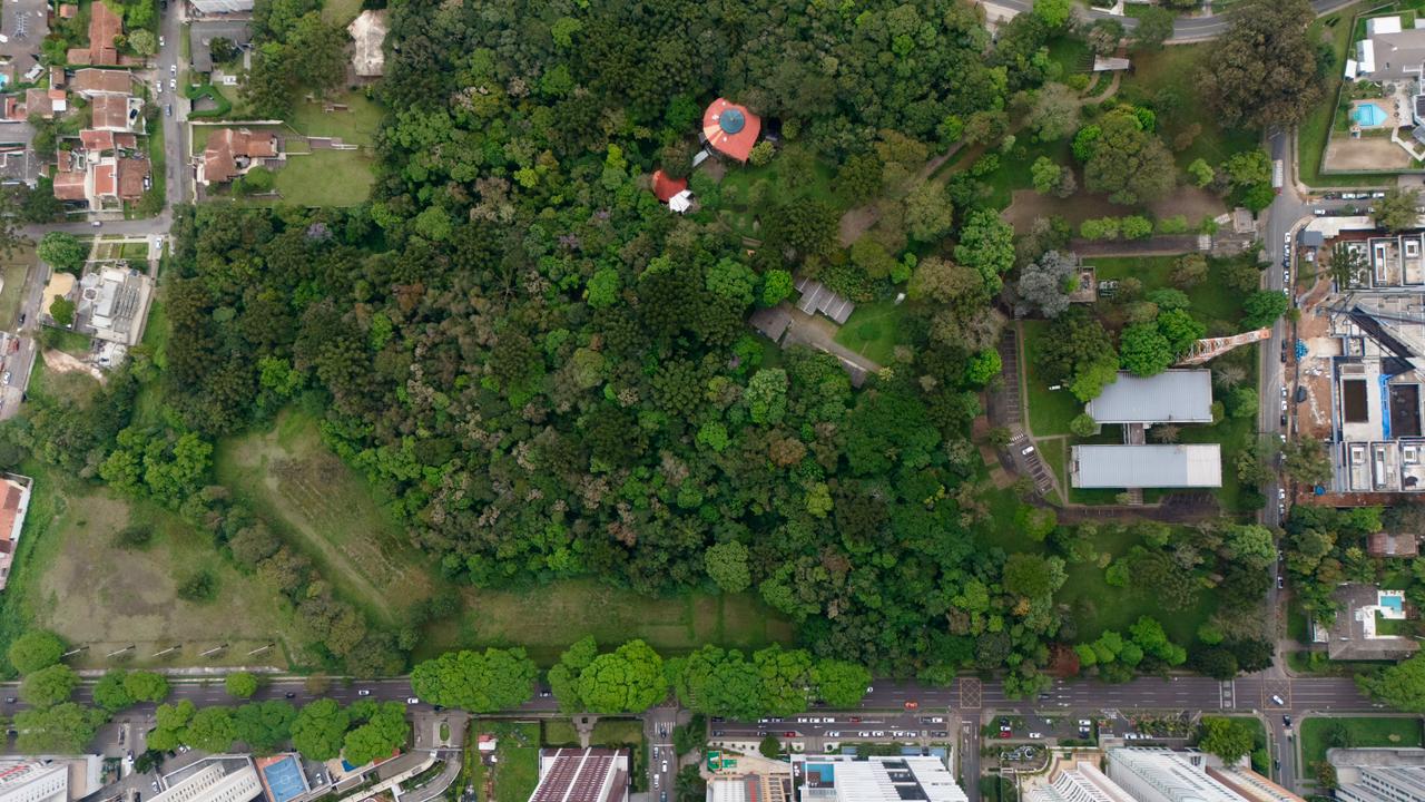 Bosque da Copel pode virar patrimônio ecológico de Curitiba