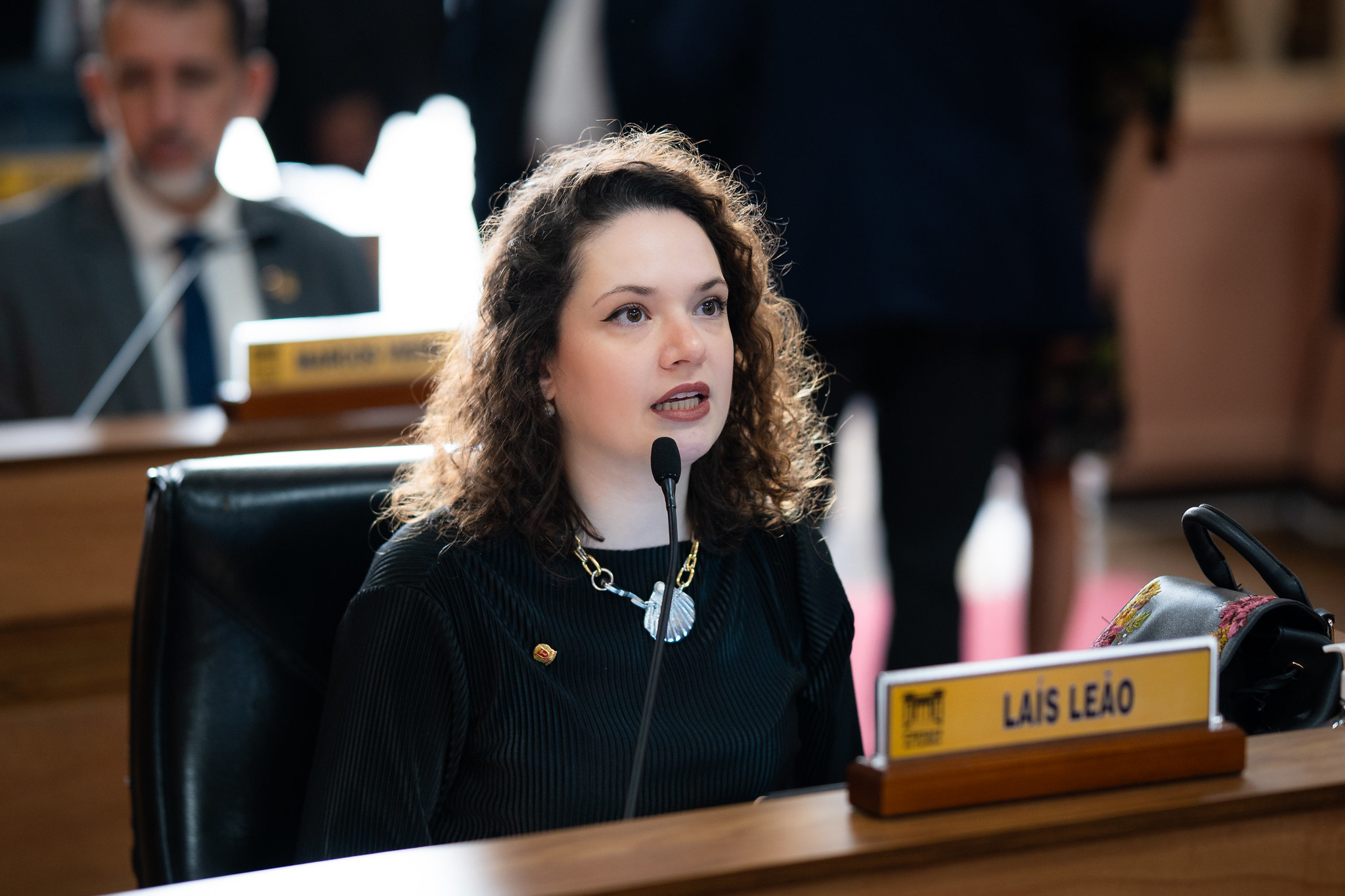 Câmara de Curitiba aprova Lei Bárbara Mattos sobre insuficiência istmo-cervical